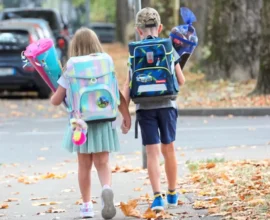 Yeni Eğitim Yılında Daha Az İlkokul, Daha Fazla Lise Öğrencisi