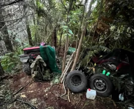 Yeni Zelanda’da Çocuklarını Kaçıran Baba Polisle Çatışmada Öldürüldü