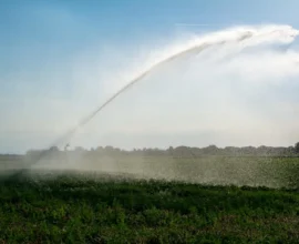 Yeraltı Suyu Krizi: Seewinkel Bölgesinde Yeni Önlemler Masada