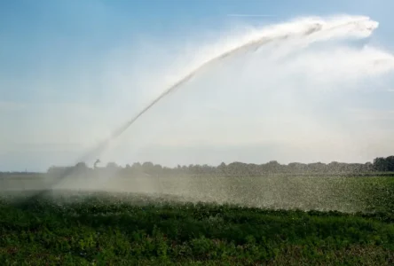 Yeraltı Suyu Krizi: Seewinkel Bölgesinde Yeni Önlemler Masada