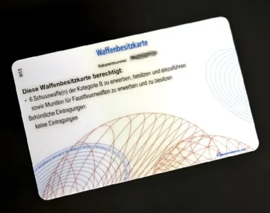 Yeşiller Partisi'nden Yasadışı Silahlar İçin Geri Alım Programı Talebi