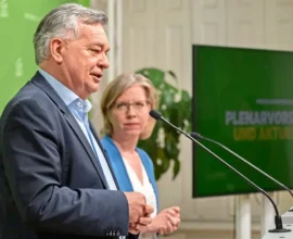 Yeşiller’den Yeni Hükümete Sert Eleştiri: “Tam Bir Geriye Gidiş!”