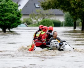 Yüzyılın Selinden Dersler: Aşağı Avusturya'da Koruma Projeleri Hız Kazandı